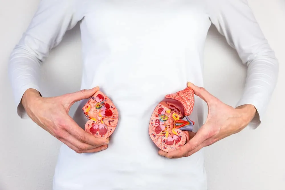 Signs of Kidney Disease